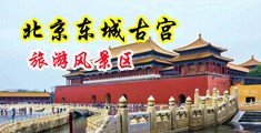 小内逼日出水来免费看中国北京-东城古宫旅游风景区